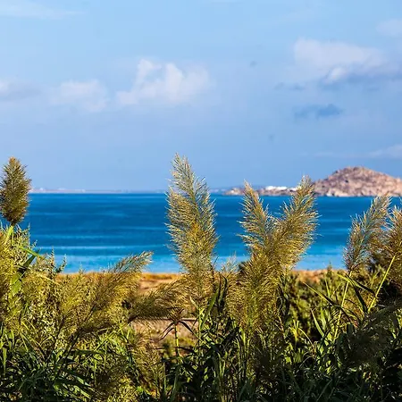 Alyko * אליקו ביץ'