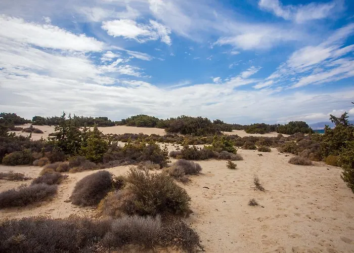 Villa Alyko Aliko Beach